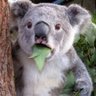 Land Fisher's profile picture