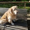 El Séneca profil fotoğrafı