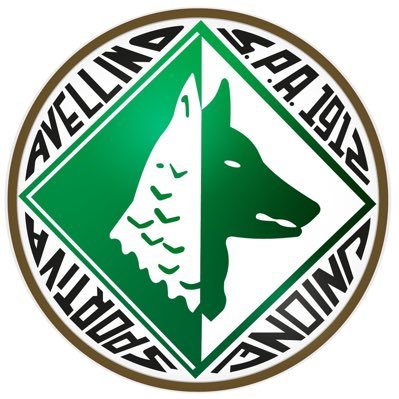 usavellino1912_'s profile picture