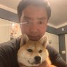 Profilbild von wei lin