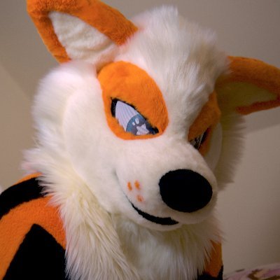 nightyfirefluff's profile picture