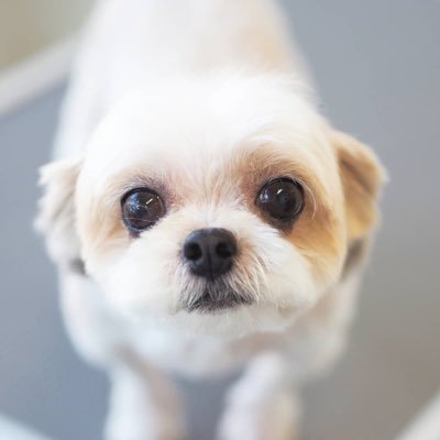 marble🧋🦦🤍's profile picture