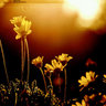 soso_91_bl profil fotoğrafı
