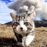 藤原経清 🐈 profil fotoğrafı