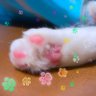 🐈⬛ねこひげ🐾 的头像