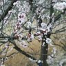 謙信333 profil fotoğrafı