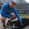 quellozidioso's profile picture