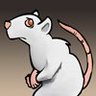 Profilbild von Optimal Cynic