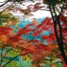 Фото профиля 青空 どんな時も青空を見て、気持ちを明るくのどかに暮らす。