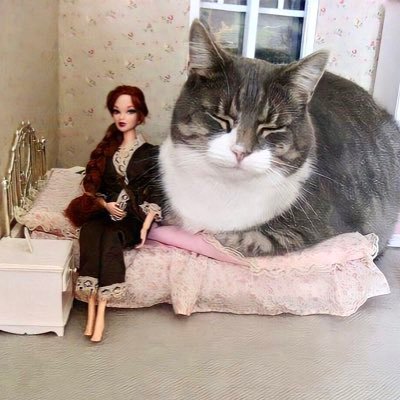 غدي's profile picture