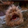 Fizzgig 的头像