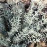 Фото профиля الساهر المغامر