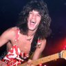 EVH Lives! 的头像