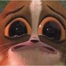 YOOOOOO.'s profile picture