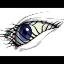 Syrinx-Blue Crew☮️🌊🌊💙😻🏈's profile picture