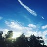 Trippin’RoundTheSun's profile picture