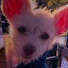 mitzi branvold's profile picture