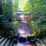 Фото профиля サケナオ