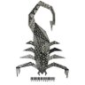 sCorpionByte_ 的头像