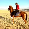 Profilbild von Abdallah Suliman