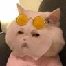 เหน่ยหนา 的头像