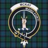 andy mckay 的头像