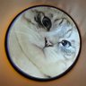 おペニー・ワイズ profil fotoğrafı