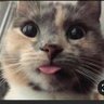 J's profile picture