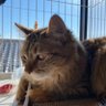 えぷ profil fotoğrafı