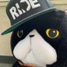 Mayumi_M 🕊️🇵🇸🕊️'s profile picture