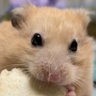 Profilbild von NONM
