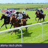 TheHorseRacingFanatic profil fotoğrafı