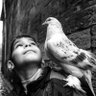 محمّد's profile picture
