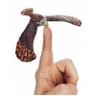 גיא נשר Guy nesher's profile picture