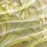 Фото профиля lvcha0630