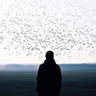 3li profil fotoğrafı