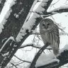 LM profil fotoğrafı