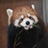 没得晒 的头像
