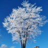 Фото профиля Ana