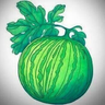 Super's profile picture