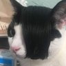 Eduardo Leal's profile picture