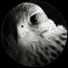 SAEED MARSHUD 🇦🇪's profile picture