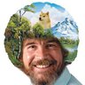 TheRealBobRoss profil fotoğrafı