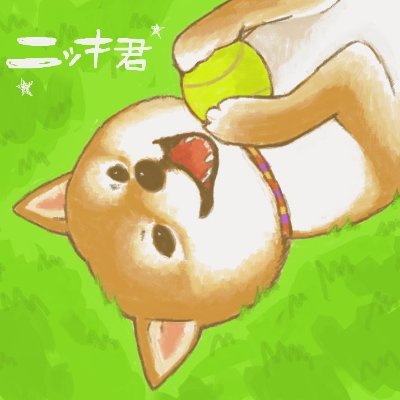 柴犬ニッキ's profile picture