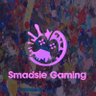 Smadsie Gaming's profile picture