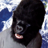 The Weather Gorilla 的头像
