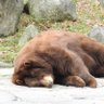 せ🐾 的头像