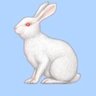 Profilbild von Bored Bunny Blues
