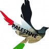 Free Palestine!!!'s profile picture