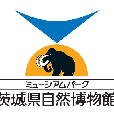 ミュージアムパーク茨城県自然博物館's profile picture